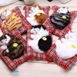 Interactive Kitten Toys For Kids-by-Toys Suited