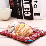 Interactive Kitten Toys For Kids-Style 2-by-Toys Suited