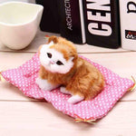 Interactive Kitten Toys For Kids-Style 7-by-Toys Suited