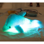 Marine Cute Dolphin-by-Toys Suited