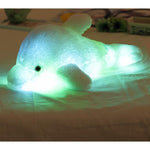 Marine Cute Dolphin-by-Toys Suited