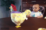 Fascinate Chicken Toy For Babies