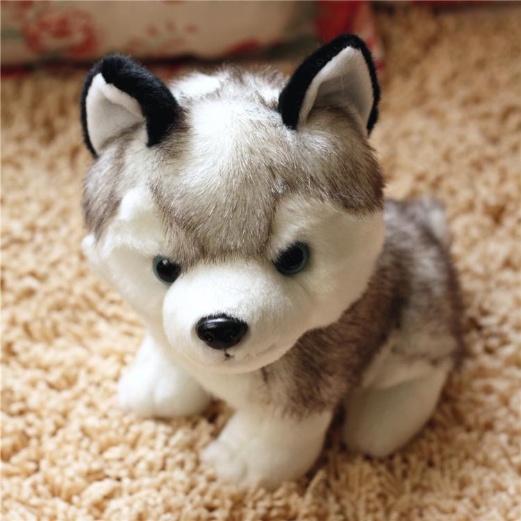 Smart Husky Toys-by-Toys Suited